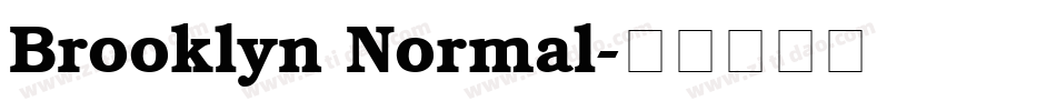 Brooklyn Normal字体转换